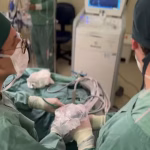 Brasil celebra a volta do melhor jogador do mundo: Vinícius Júnior é o vencedor do Fifa The Best 2024